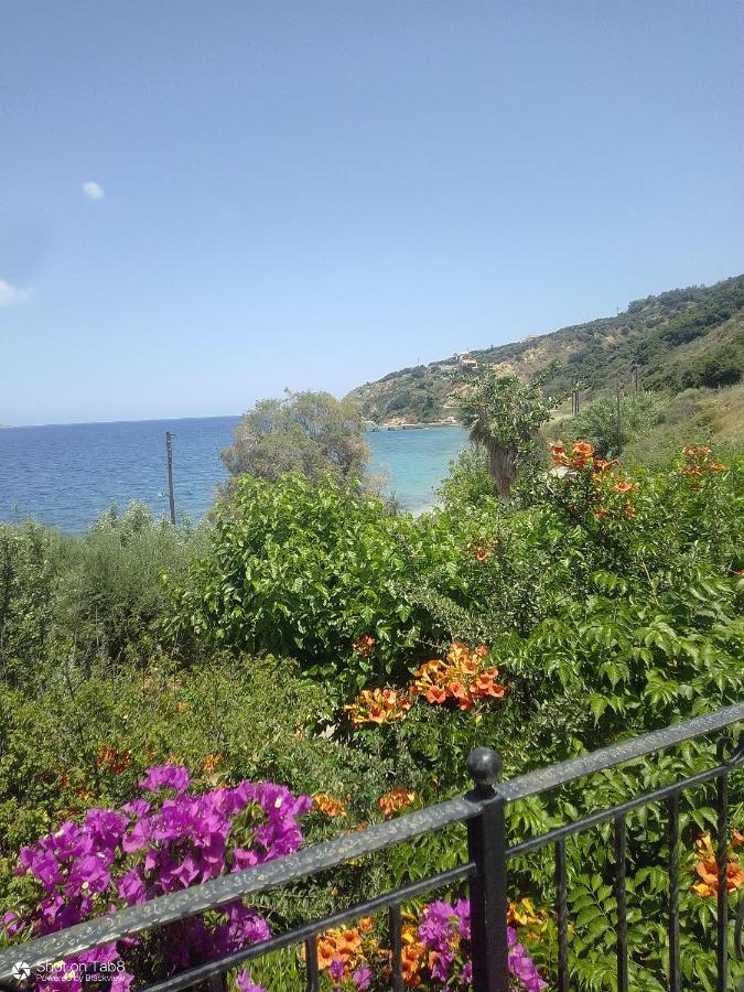 Sirens Kalami Kalami (Crete)