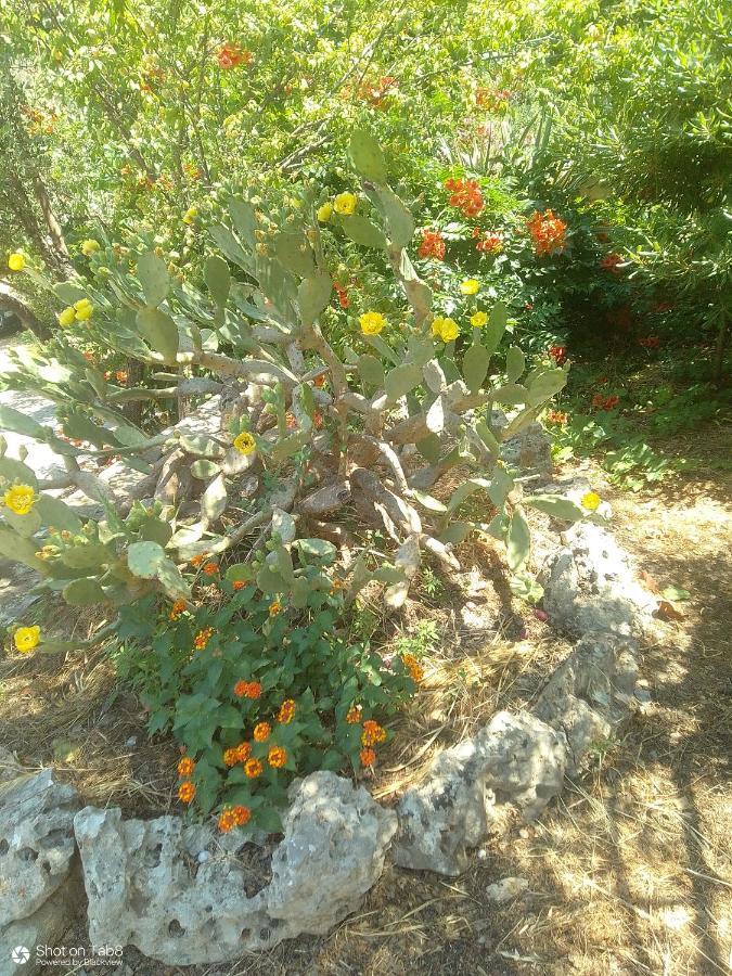 Holiday home Sirens Kalami Kalami (Crete)